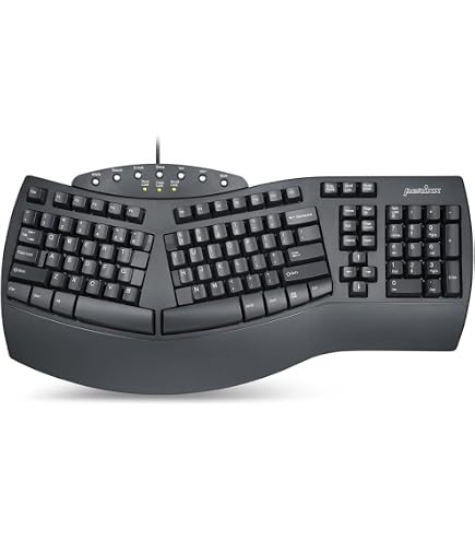 Amazon.com: Adesso AKB-450UB - Ergonomic Keyboard with Built-in